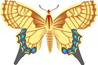 MACHAON.WMF