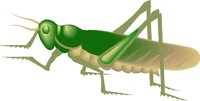 LOCUST.WMF