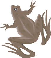FROG.WMF