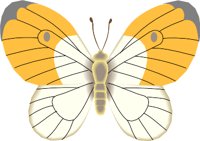EUCHLOE.WMF