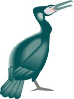 CORMORNT.WMF