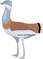 BUSTARD.WMF