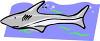 SHARK.WMF