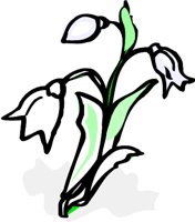 FLOWER2.WMF