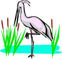 BIRD3.WMF