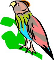 BIRD2.WMF