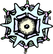 SNOWFLAK.WMF