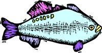 FISH3.WMF