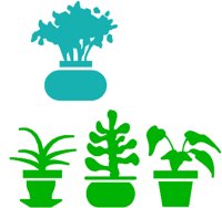 GARDEN1.WMF