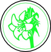 FLOWER36.WMF