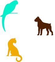 PET6.WMF