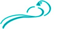BIRD4.WMF