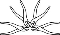 SYMBOL39.WMF