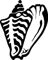 SHELL2.WMF