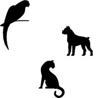 PET6.WMF