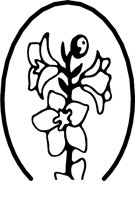 GARDEN2.WMF