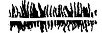FREFORM6.WMF