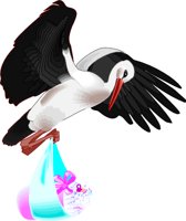 STORKBAB.WMF