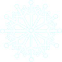 SNFLAKE3.WMF