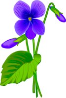 VIOLET.WMF