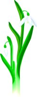 SNOWDROP.WMF