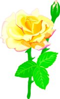ROSE4.WMF