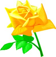 ROSE3.WMF