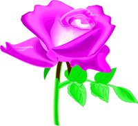 ROSE1.WMF