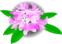 RHODODEN.WMF