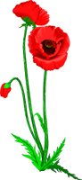 POPPY.WMF