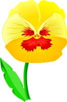 PANSY2.WMF