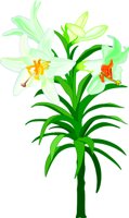 LILY_V.WMF