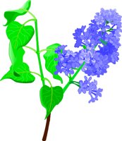 LILAC.WMF