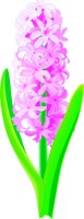 HYACINTH.WMF
