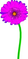 GERBERA1.WMF
