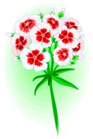 DIANCHIN.WMF