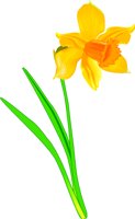 DAFFODIL.WMF