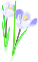 CROCUS.WMF