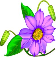 CLEMATIS.WMF