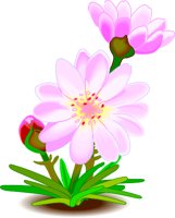 BIT_ROOT.WMF