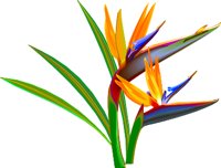 BIRD_OF.WMF