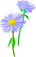 ASTER.WMF