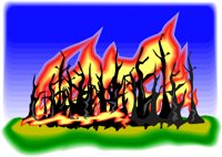 BURNFRST.WMF
