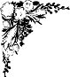 1054.WMF