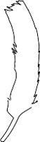 1675.WMF