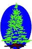 TREE03.WMF