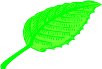 LEAF00.WMF