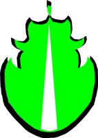 ESCAROLE.WMF