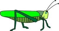 CRICKET.WMF