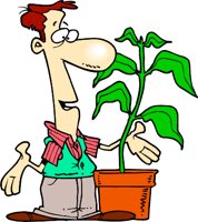 PLANTTAL.WMF